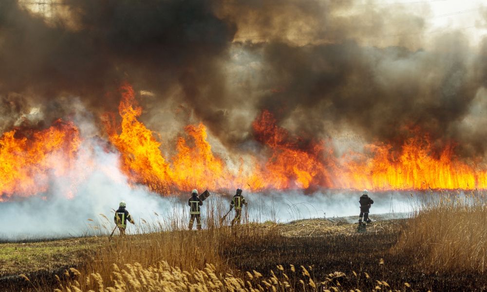 What Kind of FR Gear Do Firefighters Wear?